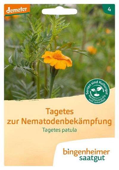 Produktfoto zu Tagetes (Studentenblume), 1 Tüte