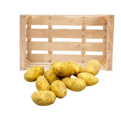 Produktfoto zu Kartoffeln festkochend, 12,5kg