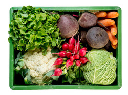 Produktfoto zu Regionale Gemüsekiste