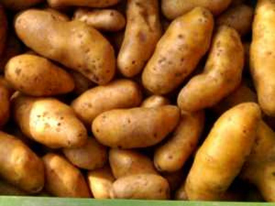 Produktfoto zu Kartoffeln  Rosara -rotschalig vorwiegend festkochend, 5 kg