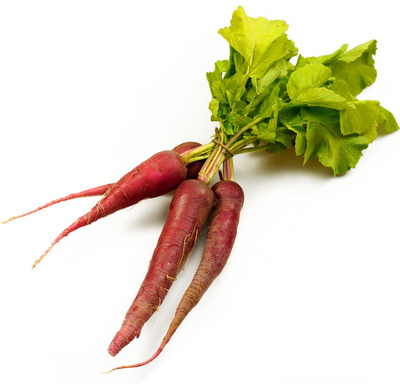 Produktfoto zu Roter Rettich (nach Gewicht)